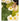 MATREPUBLIC Alhambra Floral Light Luxury Carpet from MATREPUBLIC