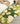MATREPUBLIC Alhambra Floral Light Luxury Carpet from MATREPUBLIC