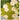 MATREPUBLIC Alhambra Floral Light Luxury Carpet from MATREPUBLIC