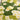 MATREPUBLIC Alhambra Floral Light Luxury Carpet from MATREPUBLIC
