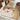 MATREPUBLIC Xanthe Eco-Friendly Washable Door Mat from MATREPUBLIC