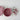 MAYBEBABY Isadora Chic Silicone Dinner Plate Set from MAYBEBABY