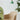 MEIYIJIA Isolde Stylish Plastic High Chair from MEIYIJIA