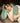 MESSIAH Callidora Luxurious Soft Waist Cushion Pillow from MESSIAH