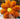 MESSIAH Elowen Solar-Powered Modern Sofa Pillow - Sunflower Design from MESSIAH