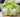 MESSIAH Juniper Comfort Luxury Pillow from MESSIAH