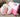 MESSIAH Kensington Plush Ergonomic Office Pillow from MESSIAH