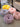 MESSIAH Takamatsu Plush Winter Cushion Pad from MESSIAH