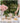 MH Isolde Elegant Porcelain Teapot Set from MH
