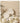 MH Tamsin Elegant Stylish Tableware Set from MH