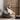 MISS LAZY Akihiko Cozy Soft Bean Bag Bedroom Nest from MISS LAZY