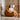MISS LAZY Akiro Cozy Relaxation Sofa Bag from MISS LAZY