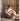 MISS LAZY Akiro Cozy Relaxation Sofa Bag from MISS LAZY