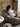 MISS LAZY Marigold Versatile Soft Sandbag Sofa from MISS LAZY