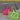 MI XIAOXIAO Azura Eco-Friendly Stylish Lunchbox Bag from MI XIAOXIAO