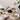 MOREOVER Valencia High-Quality Ceramic Dinner Plate Set from MOREOVER