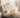 MORNING FOREST Isabella Elegant French Cream Crib from MORNING FOREST