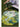 MOXI Elowen Plush Eco-Friendly Round Carpet from MOXI