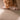 MOXI Elowen Vibrant Soft Wool Carpet Living Room from MOXI