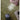 MOXI Esmeralda Luxurious Handmade Carpet from MOXI