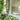 MOXI Seraphina Retro Green Forest Cushion - Irregular Bedroom Carpet from MOXI