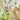 MOXI Seraphina Retro Green Forest Cushion - Irregular Bedroom Carpet from MOXI