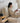 MOYU Seraphina Cozy Modern Minimalist Bed from MOYU