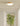 NEWVILLE Akira Elegant Ambient Cream Ceiling Light for Gazebo from NEWVILLE