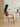 NIYE Isolde Rustic Comfort Dining Chair from NIYE
