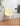 NIYE Marigold Elegant Foldable Dining Chair from NIYE