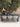 DIME GARDEN Elowen Elegant Rattan Dining Set from DIME GARDEN