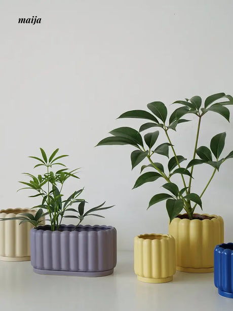 Keluki Flower Pot from maija
