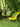 RATTAN SPACE Isolde Cozy Garden Lounge Table Set from RATTAN SPACE