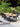 DIME GARDEN Luciana Stylish Rattan 3-Piece Outdoor Set from DIME GARDEN