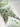 YOULI Clementine Adorable Fresh Green Pillowcase Sofa Cushion from YOULI