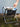 MOMO'S TALK Riolette Compact Lightweight Folding Stool from MOMO'S TALK