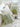 YOULI Vincent Chic French Cream Pillow Set from YOULI