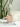 SUCO Haruki Sleek Design Leakproof Scale Cup from SUCO