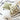 YOULI Sabrina Elegant Light Luxury Pillow Set from YOULI