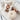 YOULI Benjamin Luxe Velvet Geometric Nordic Pillow Set from YOULI