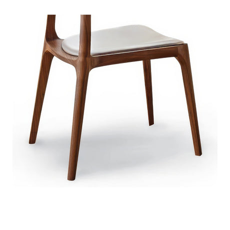 QUANMU Isadora Elegant Black Walnut Dining Chair from QUANMU