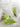 YOULI Penelope Creamy Cute Floral Pillowcase from YOULI