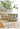 CHESTNUT COCOON Kenji Elegant Embroidered Auto Wipe Set from CHESTNUT COCOON