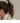 Small Triangle Hair Clips from maija