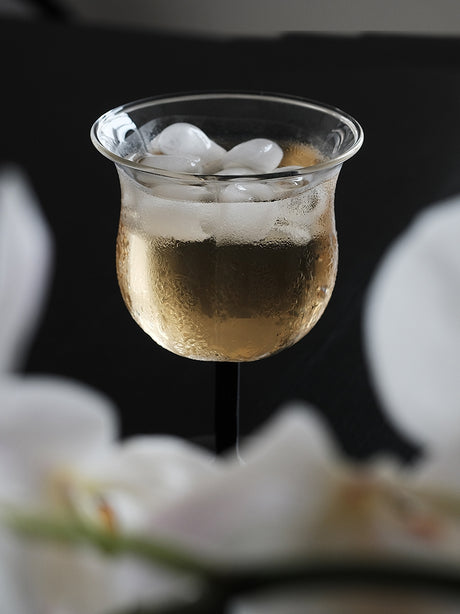 MOMO'S TALK Zareh Elegant High-Borosilicate Wine Glass from MOMO'S TALK