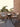 DIME GARDEN Elowen Elegant Rattan Dining Set from DIME GARDEN