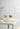 MOMO'S TALK Haruki Elegant Insulated Colorful Glass Cup from MOMO'S TALK