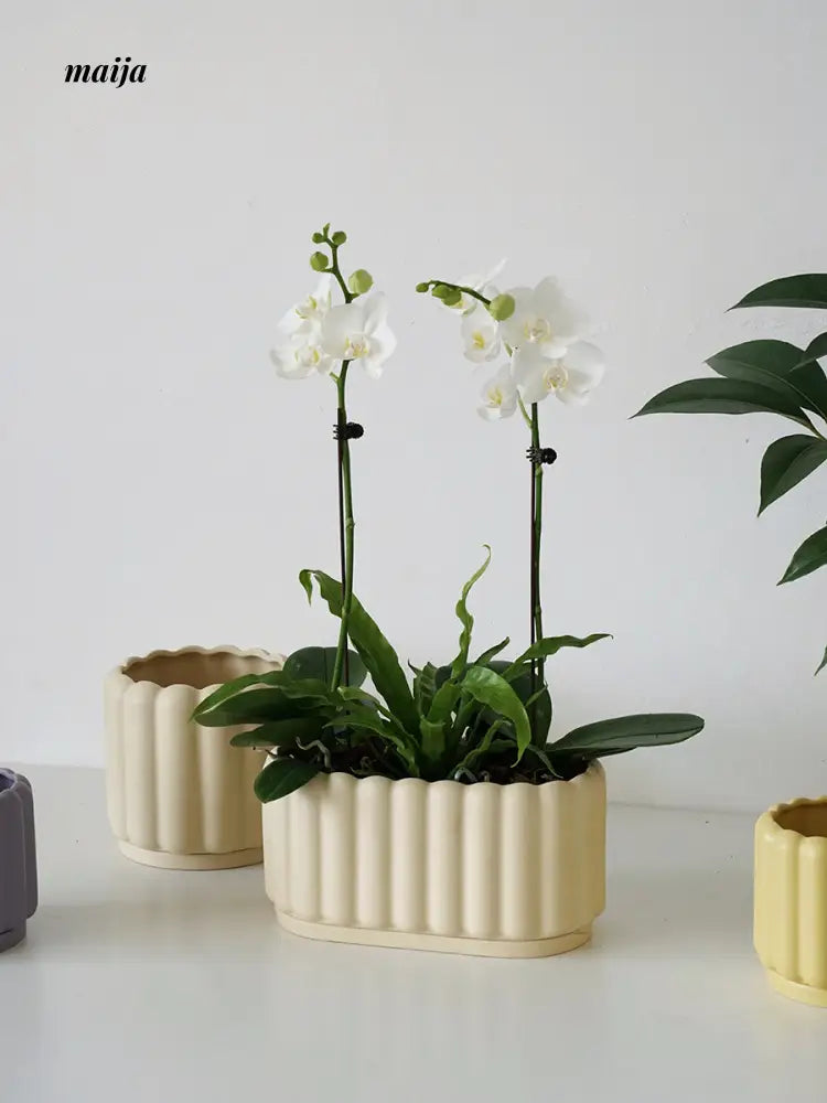 Keluki Flower Pot from maija