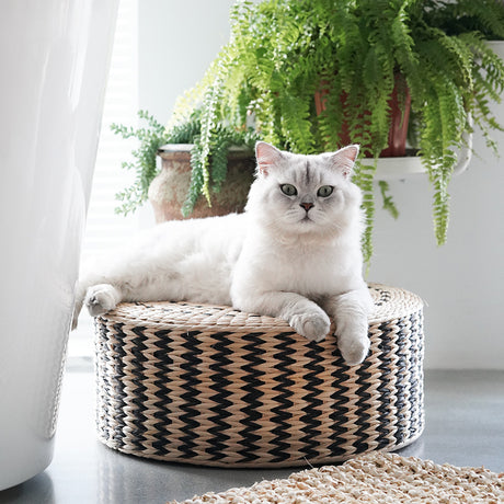 MOMO'S TALK Tenzin Bohemian Woven Cushion Futon from MOMO'S TALK