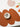MOMO'S TALK Elowen Waterproof Irregular Pot Cushion from MOMO'S TALK